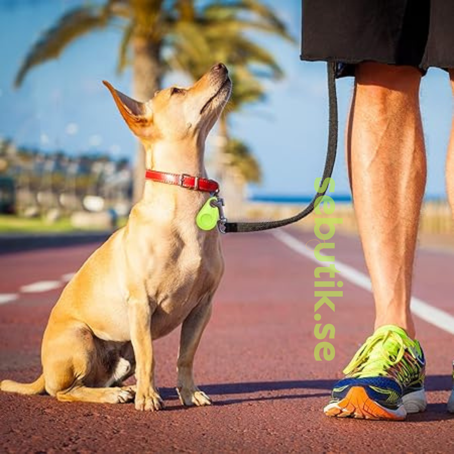 DogCatFri™ PetTracker - Bluetooth Husdjur Trådlös Spårare