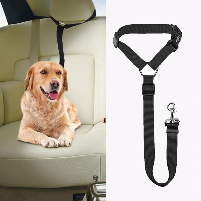 DogCatFri™ CarLeash 1+1 GRATIS: Justerbar Säkerhets Husdjur Bilbarnstol Koppel