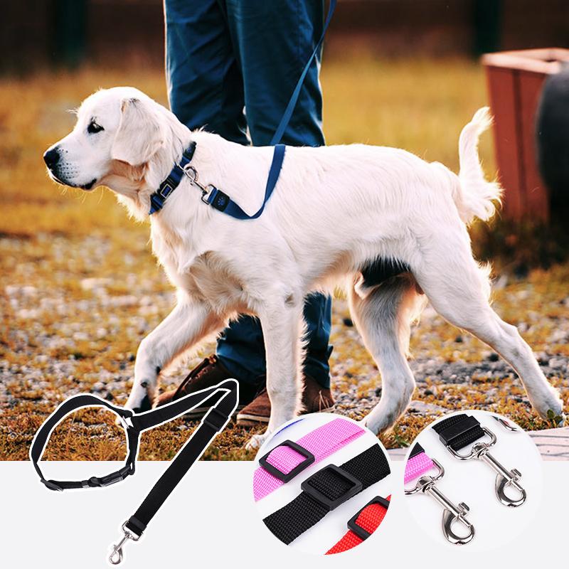 DogCatFri™ CarLeash 1+1 GRATIS: Justerbar Säkerhets Husdjur Bilbarnstol Koppel