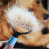 DogCatFri™ PetBrush - Husdjur Skötsel Borsta