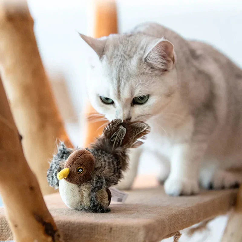 Catfri® BirdToy: Interaktiv Kvittrande Fågel leksak För Katter