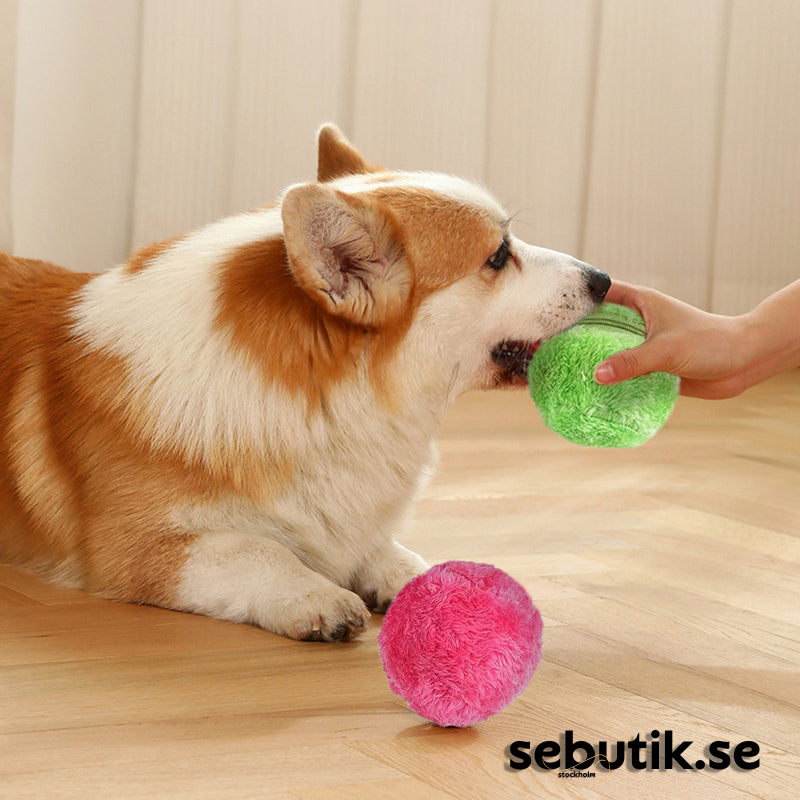 DogFri™ ActiveBall - Automatisk Rullande Kulor Mot Ångest