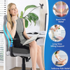 SeatRelief - Memory Skum Coccyx Avlastning Sits Dynor