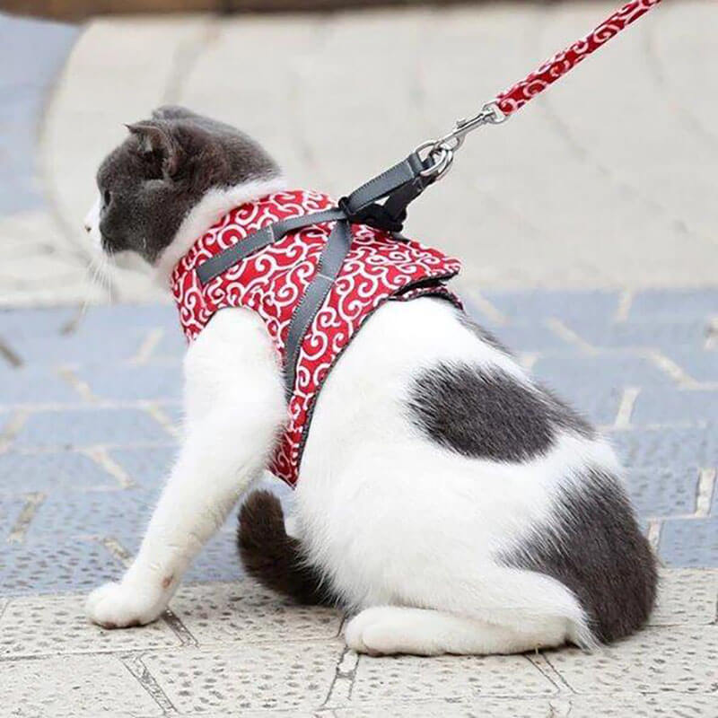 DogCatFri™ Leash - Anti-Break Away Vest-Sele Och Koppelset