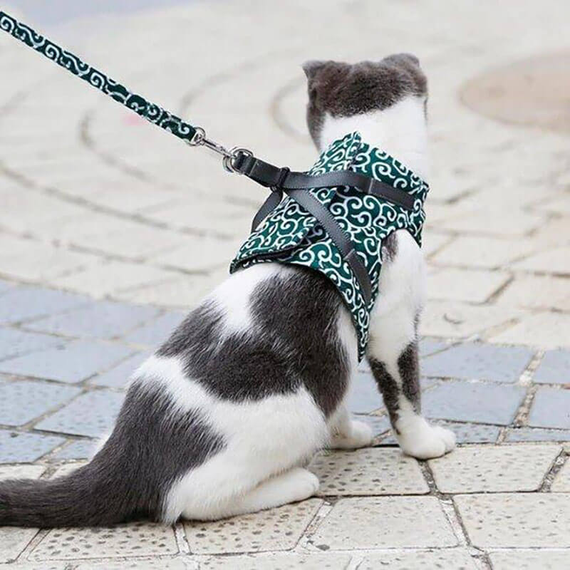 DogCatFri™ Leash - Anti-Break Away Vest-Sele Och Koppelset