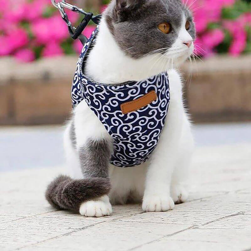 DogCatFri™ Leash - Anti-Break Away Vest-Sele Och Koppelset