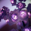 Leddi™ Rose - Forever Rose Blomma Lampa