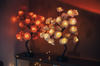 Leddi™ Rose - Forever Rose Blomma Lampa