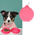 DogCatFri™ Travel Diner - Bärbar Skålsats För Husdjur