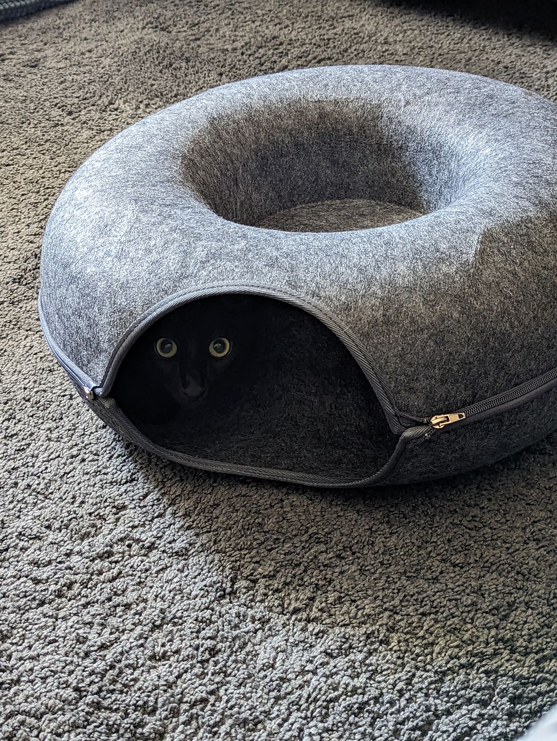 Catfri® Hotel -  Katt Tunnel Säng