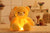 Sebutik™ GlowTeddy Ljus upp LED teddybjörn
